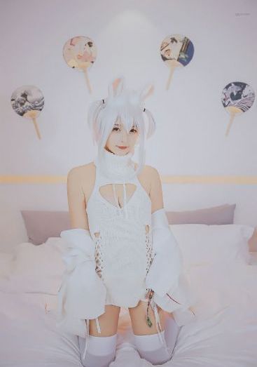 2019年全年免费观看电视剧