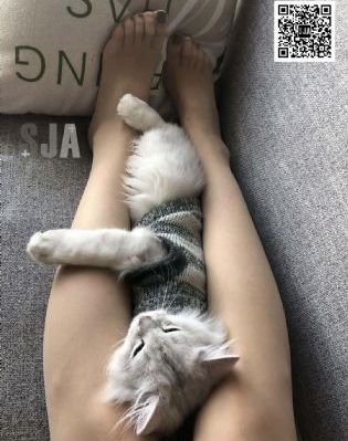 日本片网址