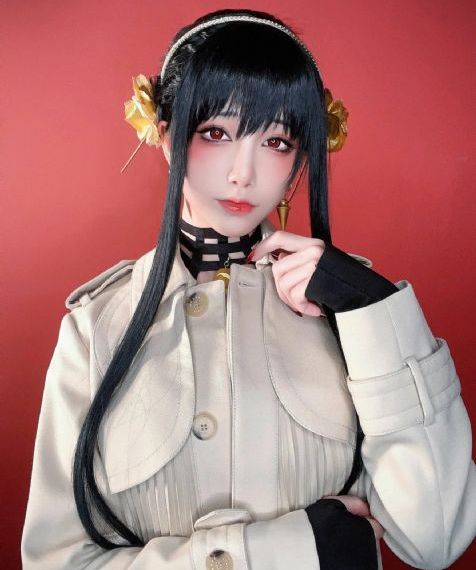 动物狂想曲第一季免费观看完整版